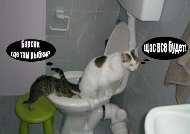 Смешные приколы прикол, смех, стеб, хорошее настроение, шутка