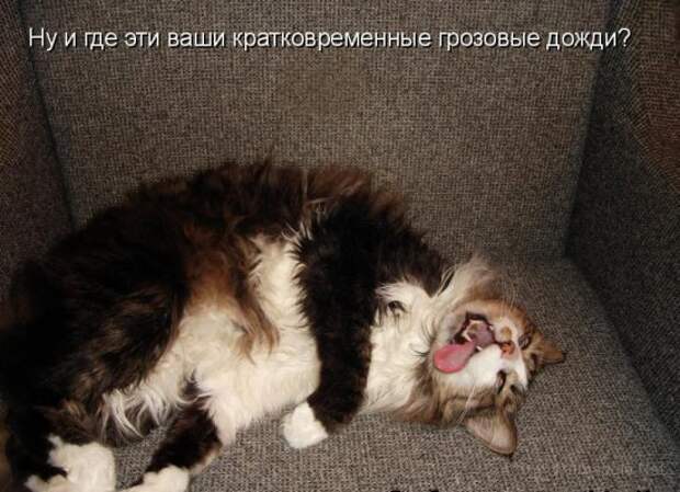Летняя подборка Котоматриц 2010 - Выпуск 18