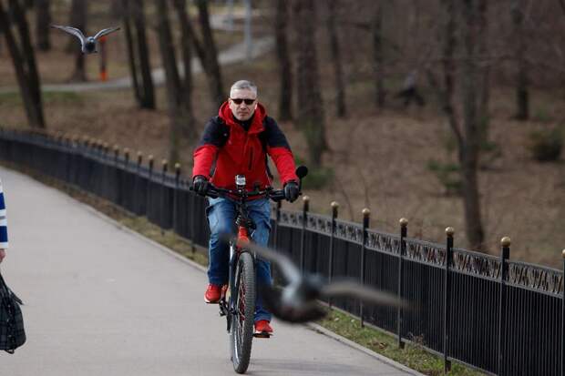 Туластат рассказал, как мужчины в регионе распределяют время в будний день