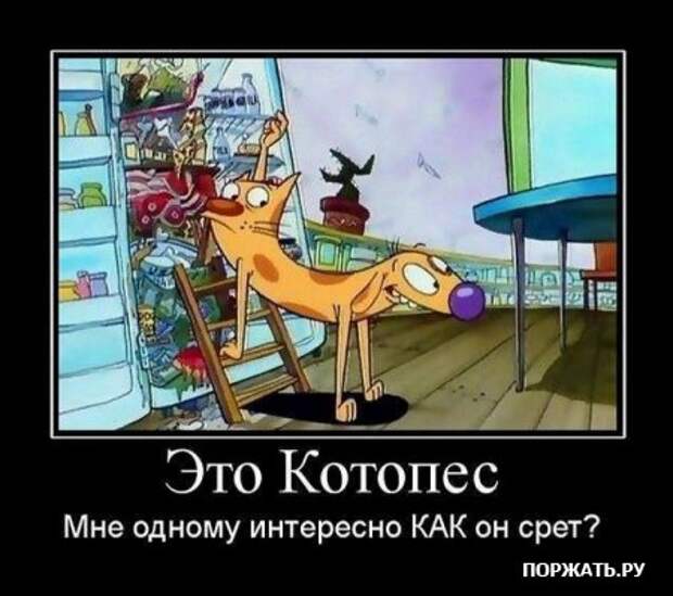 Демотиваторы (22 штуки)