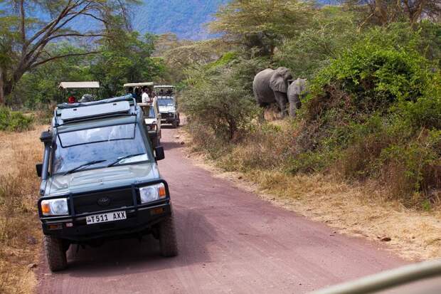 Кения, Танзания, Килиманджаро, Занзибар, осень 2014. Фото