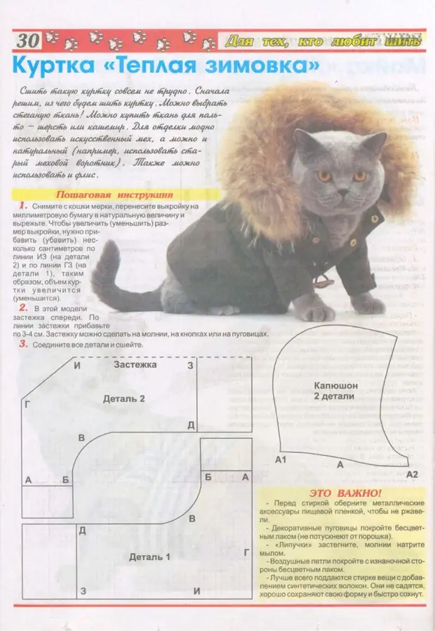 Источник pets-expert.ru 