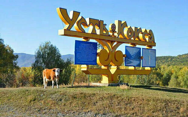 Чистим сосуды просто, в 65 вы обретете новую жизнь...