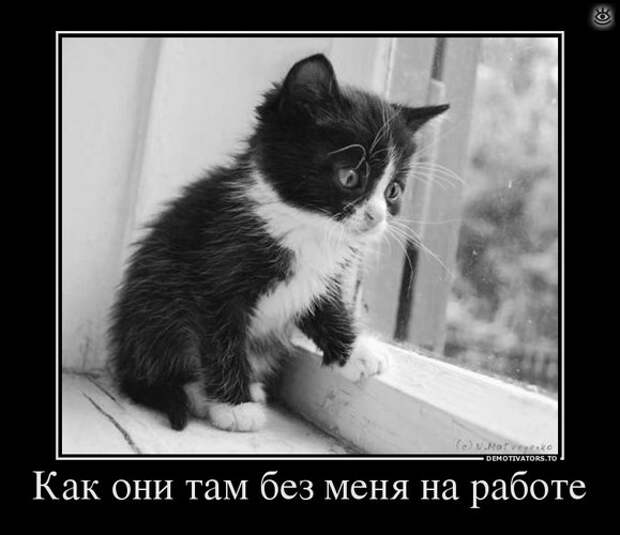 Поставь себе литьё! 1