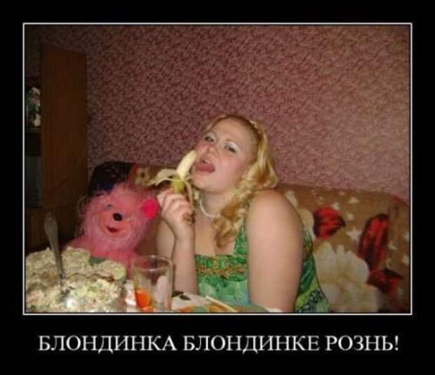 Демотиваторы новые, надписи и фото прикольные.