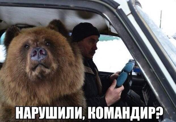 Очередная подборка автоприколов автоприколы, приколы