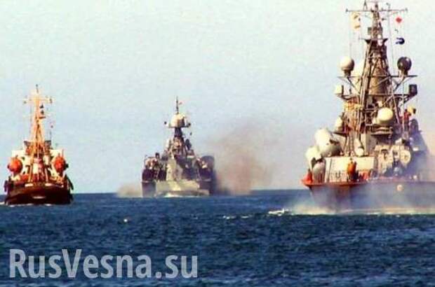 Украина намерена вместе с США возвести «Морскую стену» | Русская весна
