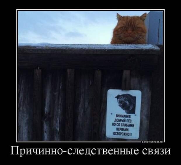 Свежие демотиваторы (16 шт)