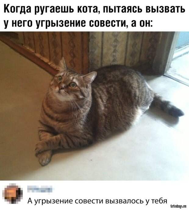 Юмор и шутки от пользователей социальных сетей (20 фото)