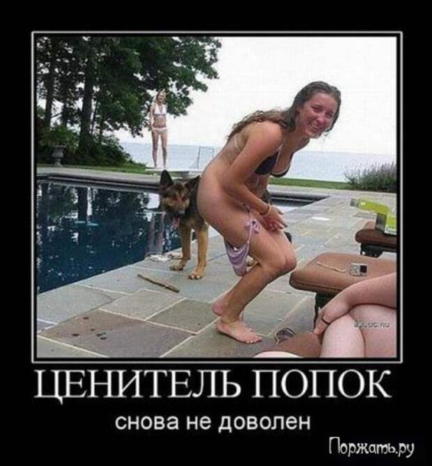 Демтиваторы