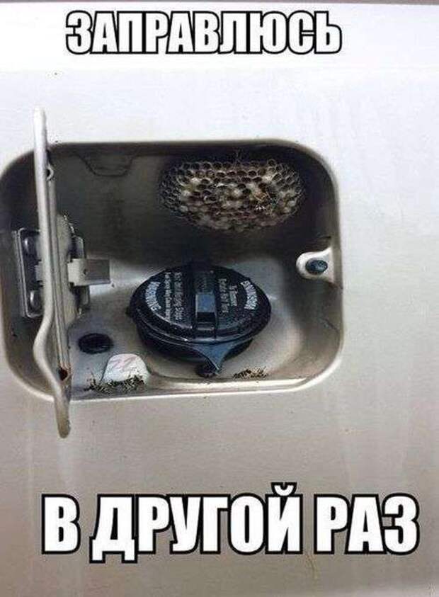 Автомобильный юмор 