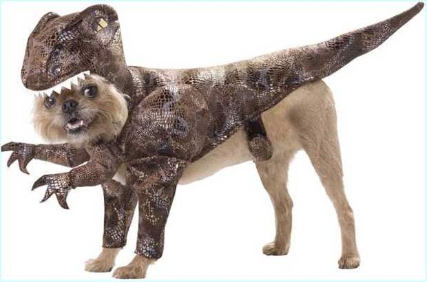 Halloween Dinosaur Costume For Dogs