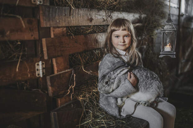 15. Керли Соси, Эстония дети, животные, конкурсы, фото