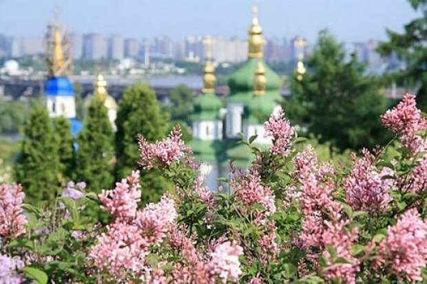 Киев