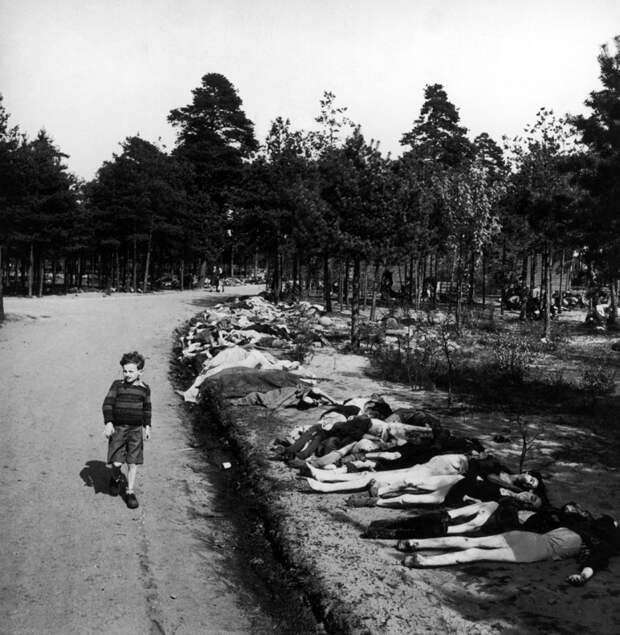 Все ужасы концлагеря Берген-Бельзен в редких архивных фотографиях