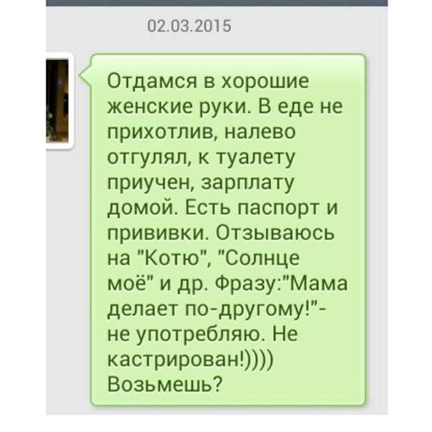 Шикарные СМС