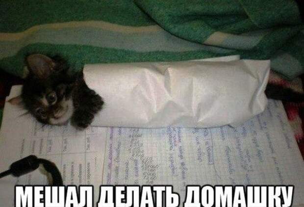 Просто приколы