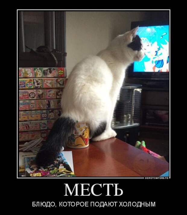 Демотиватор 7 демотиватор, юмор