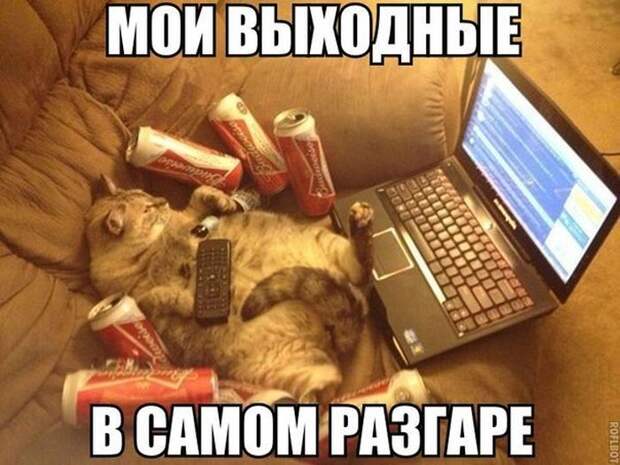 Смешные картинки с подписями картинки, прикол, юмор
