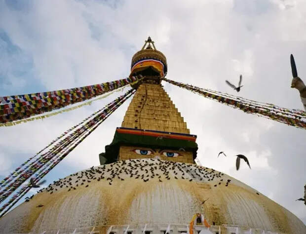 Фото Паулины Андреевой