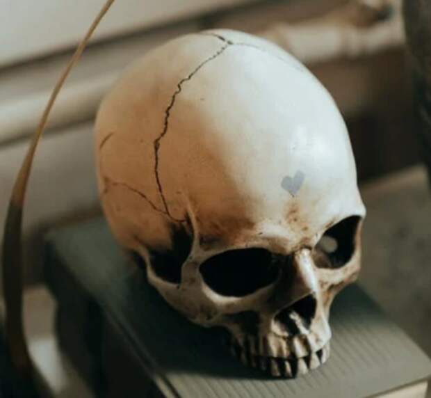 Погребение людей с вытянутыми черепами найдены в Крыму
