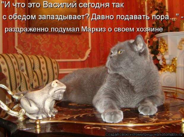 Мысли вслух :)
