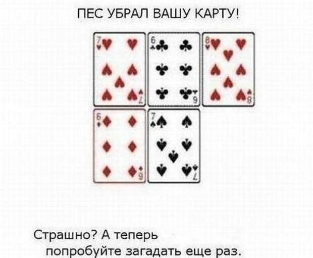"Загадай карту"