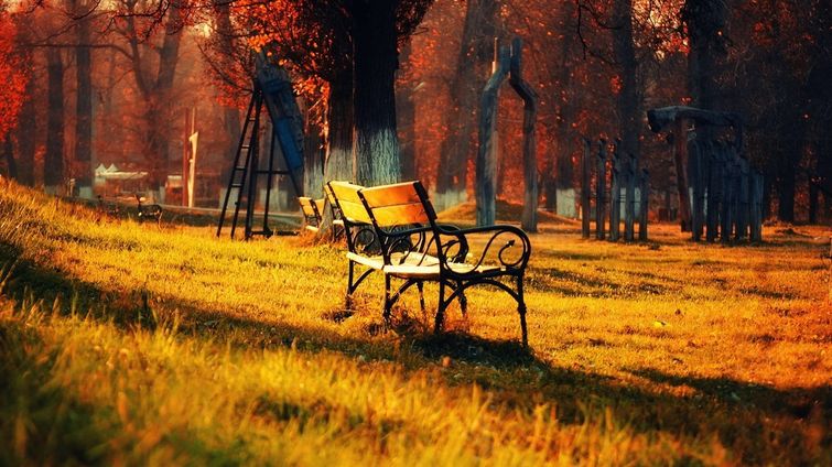 Красота в картинках