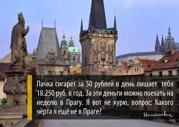 Блестящие цитаты