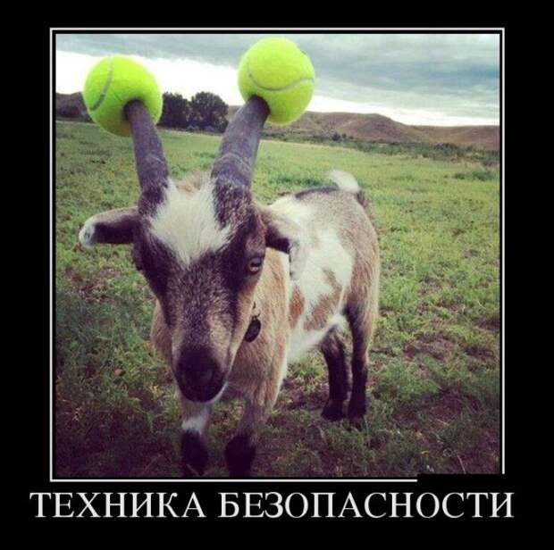 Подборка демотиваторов, которые поднимут вам настроение! демотиваторы, юмор