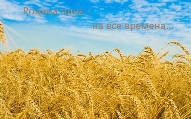Я – русская! И я горжусь этим.