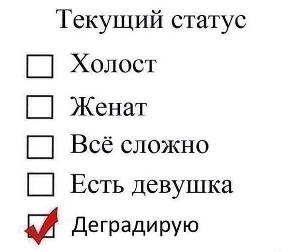 Прикольные картинки
