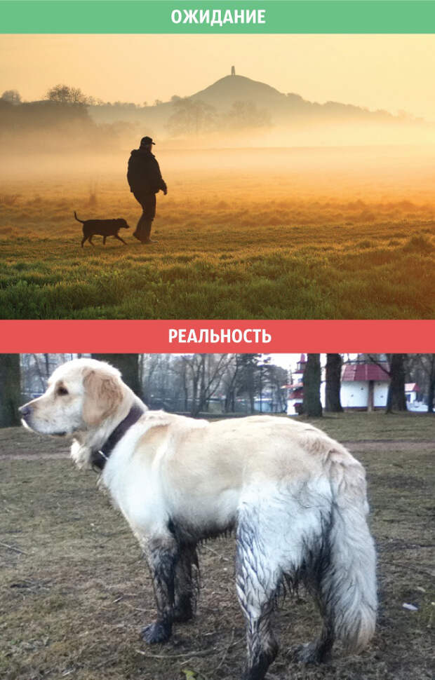 весна, ожидания и реальность