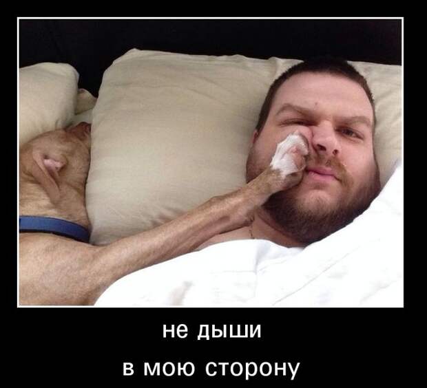 Демотиваторы (30 фото)
