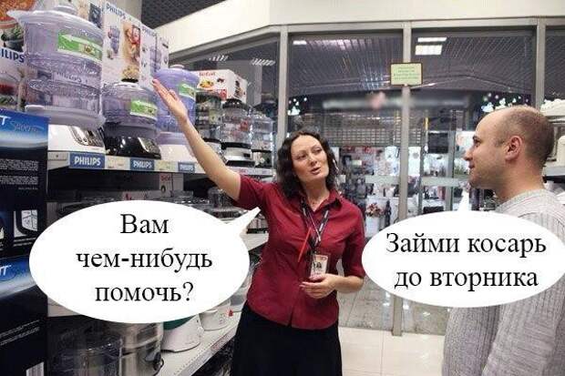 Смешные картинки с надписями прикол, юмор