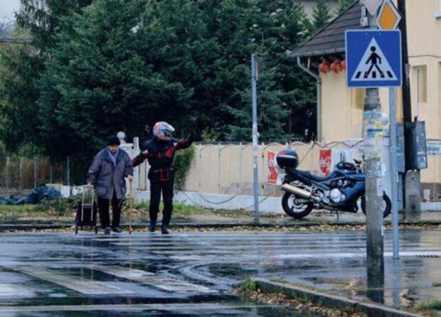 25 трогательных фотографий, на которые невозможно смотреть равнодушно