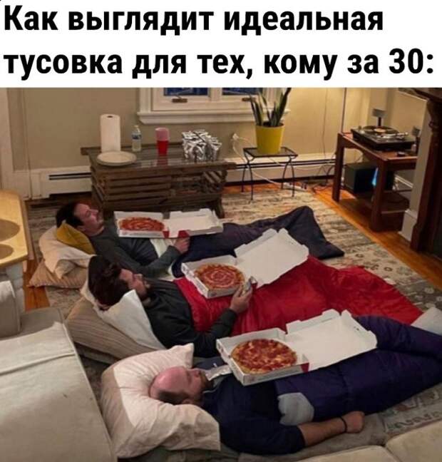 Картинки смешные мемы животных