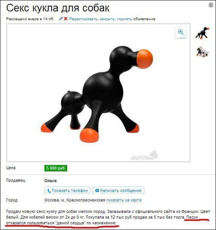 Курьёзные объявления из сети 13