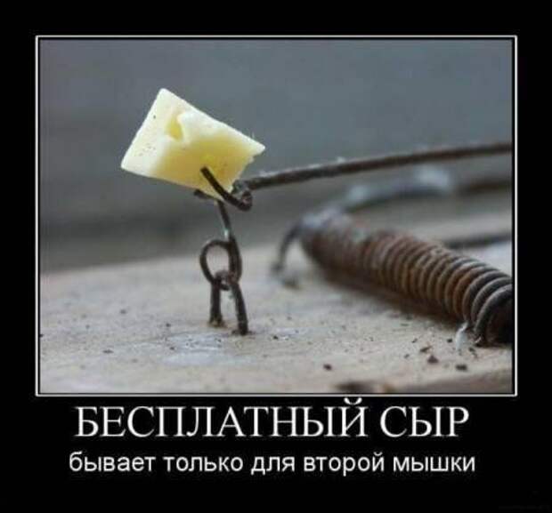Новейшие демотиваторы все юморные.