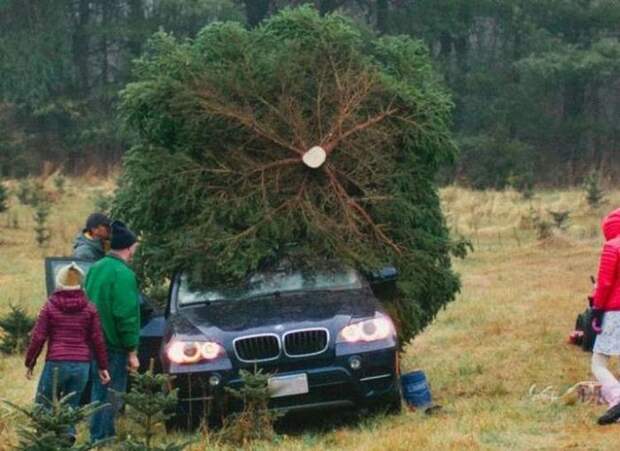 Фотоподборка за 09.12.2013 кадр, прикол, фото, фотоподборка