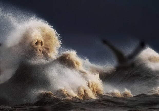 Морские горы в фотографиях Dave Sandford Морские горы в фотографиях Dave Sandford