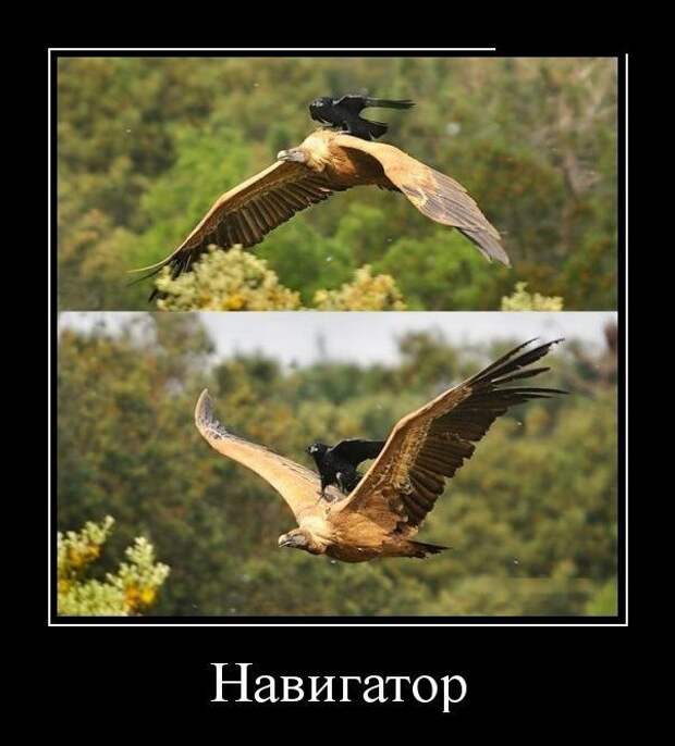 Демотиваторы (30 фото)