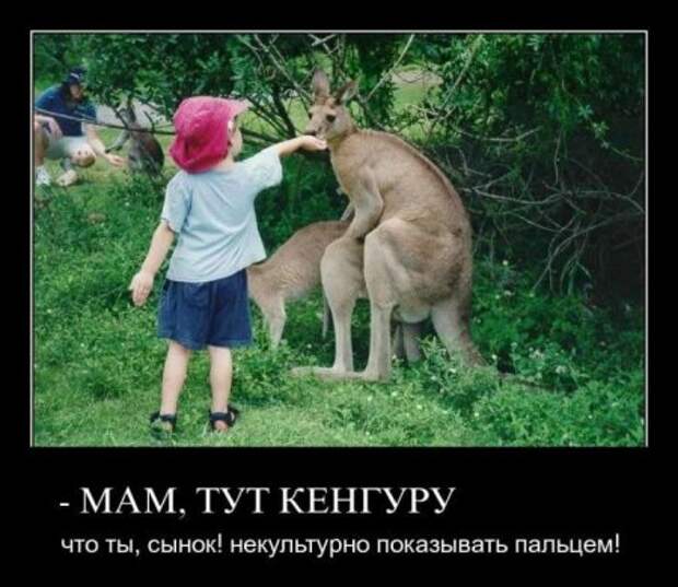 Веселые картинки демотиваторы.