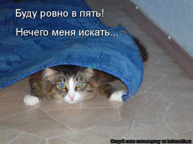 Мысли вслух :)