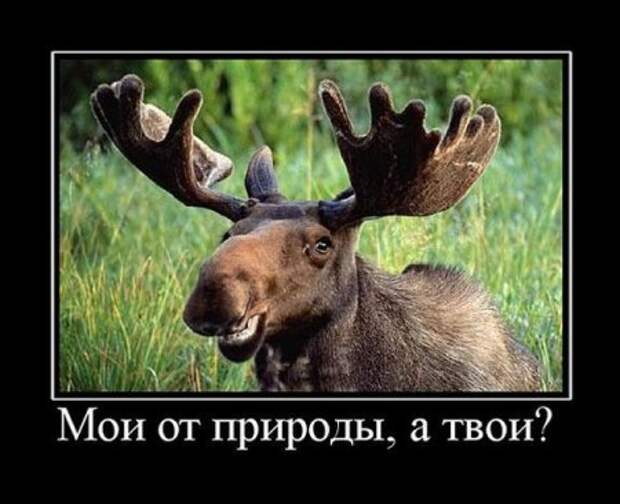 убойные пятничные демки)
