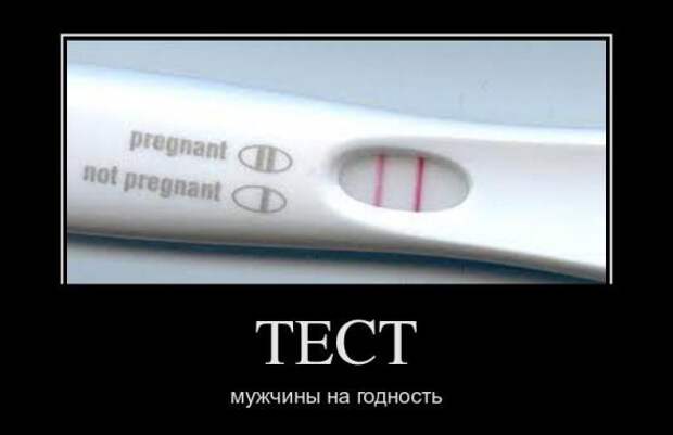 Демотиваторы " 101 %" 26/02/12