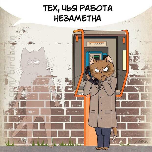 С наступающим 23 февраля! животные, коты, прикол, юмор