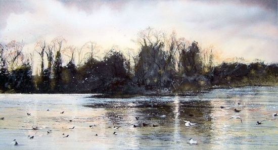  Deborah Walker.   