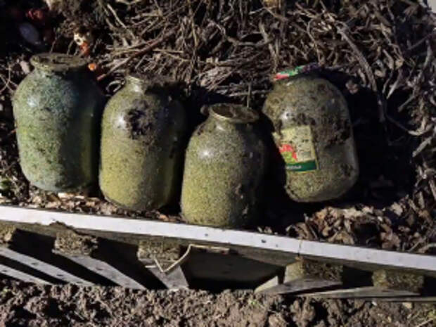 В Краснодарском крае служебный пес нашел схрон двумя килограммами марихуаны