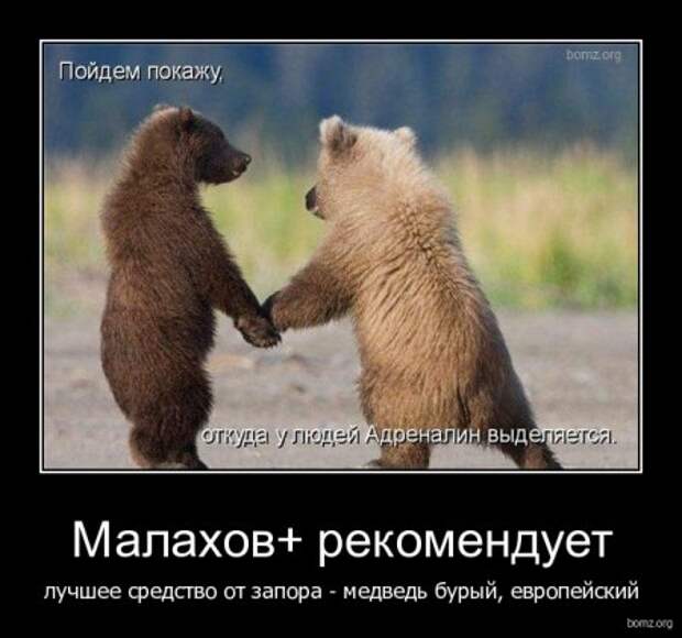 Ржачные демотиваторы на выходные